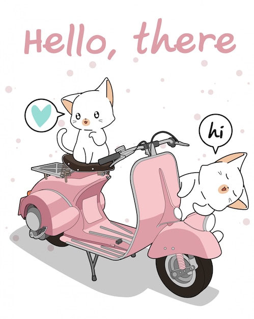 Kawaii 2 Chat Blanc Avec Moto