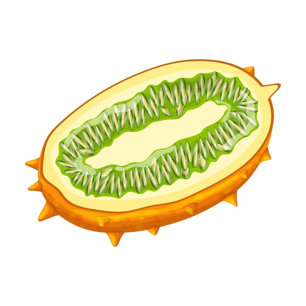 Kiwano Fruits Tranche Illustration Vectorielle De Dessin Animé Jaune