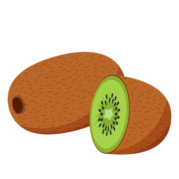 Kiwi Entier, Coupé En Deux Et Trancher. Fruit