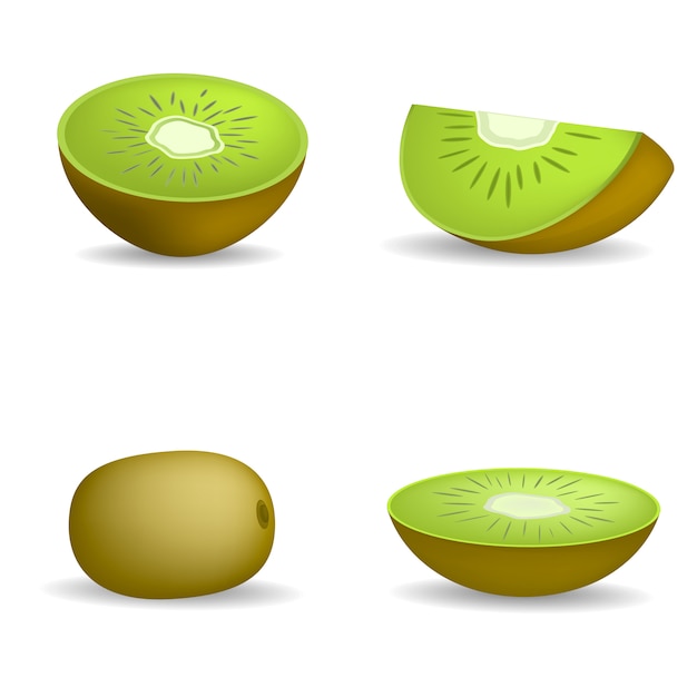 Kiwi fruit food slice icons set. Illustration réaliste de 4 icônes vectorielles de slice de fruits kiwi pour le web