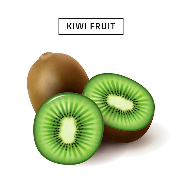 Vecteur kiwi, gros plan de fruits isolé sur fond blanc, tranches de kiwi