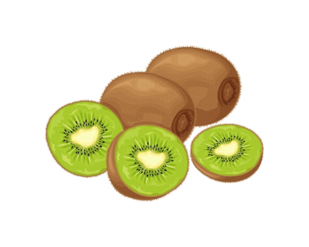 Kiwi Kiwi mûr Image d'un kiwi mûr Fruits vitaminés Produits végétariens biologiques Illustration vectorielle isolée sur fond blanc