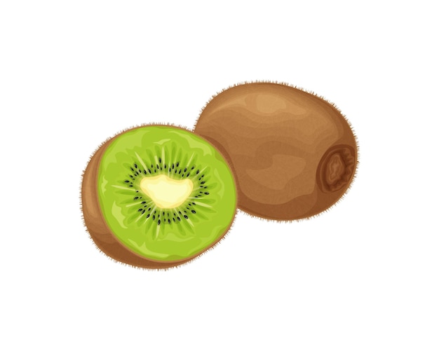 Vecteur kiwi kiwi mûr image d'un kiwi mûr fruits vitaminés produits végétariens biologiques illustration vectorielle isolée sur fond blanc