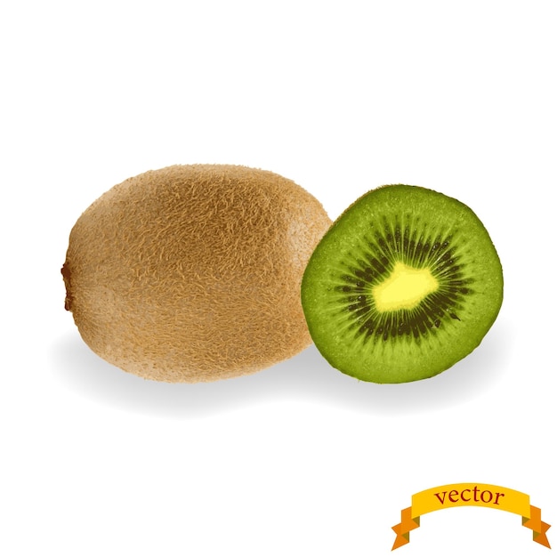 Kiwi réaliste avec image vectorielle de tranche