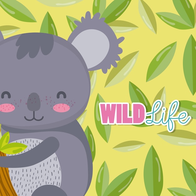 Koala Animaux Sauvages Dessin Animé Mignon