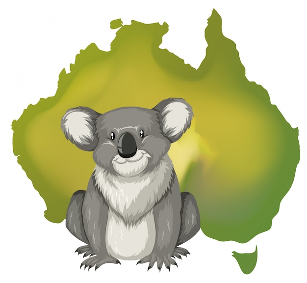 Koala et carte australienne