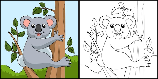 Koala Coloriage Illustration Colorée