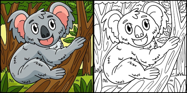 Koala Coloriage Illustration Colorée