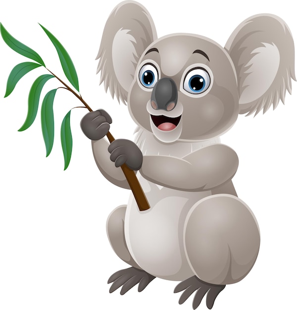 Vecteur koala de dessin animé tenant une branche d'arbre d'eucalyptus