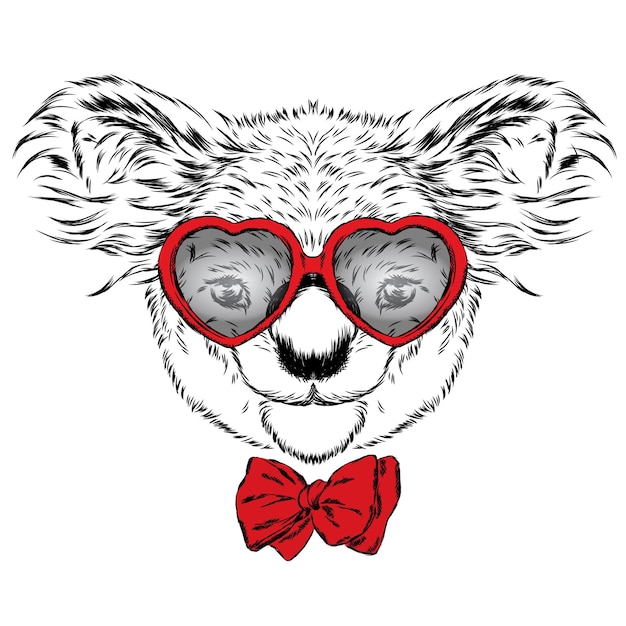 Koala Avec Des Lunettes Coeurs Saint Valentin