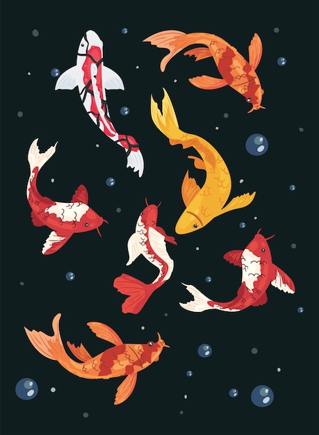 Koi Poissons Sous L'eau