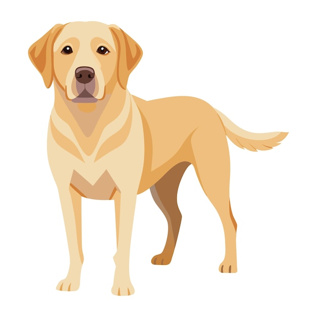 Labrador Retriever Chien de style vectoriel Clipart Illustration avec fond blanc