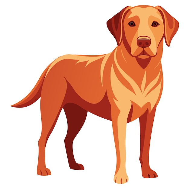 Labrador Retriever Chien de style vectoriel Clipart Illustration avec fond blanc