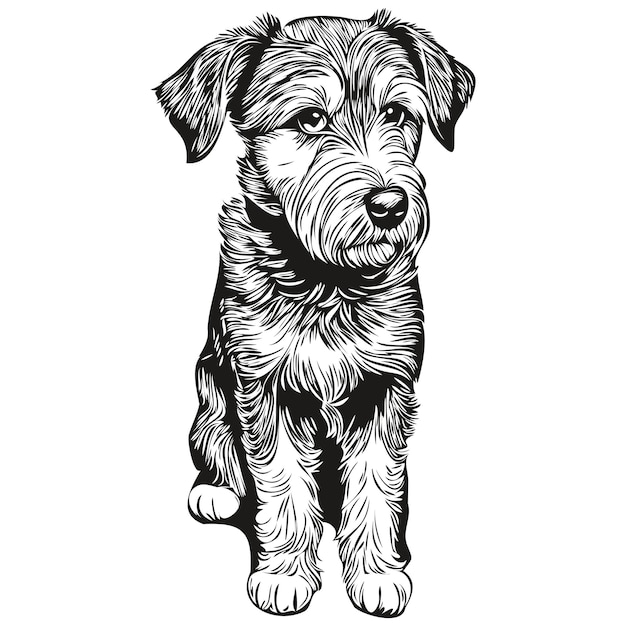 Lakeland Terrier Chien Logo Dessiné à La Main Dessin Dessin Au Trait Noir Et Blanc Animaux Illustration Réaliste Race Animal De Compagnie