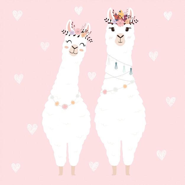 Lamas Mignons Pour Invitation De Mariage.