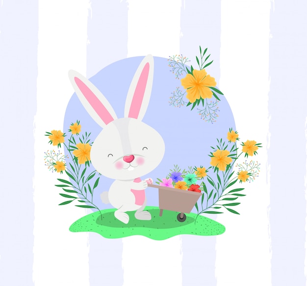 Lapin Et Brouette Avec Des Fleurs Dans Le Jardin