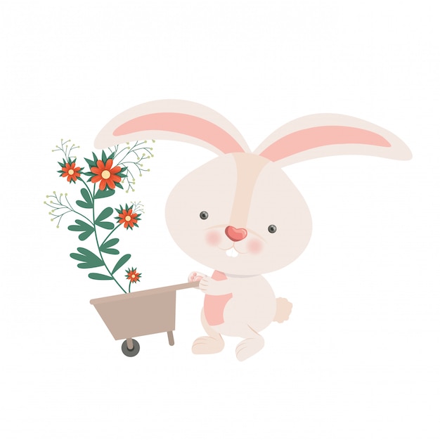 Lapin Avec Icône Isolé Brouette Et Fleurs