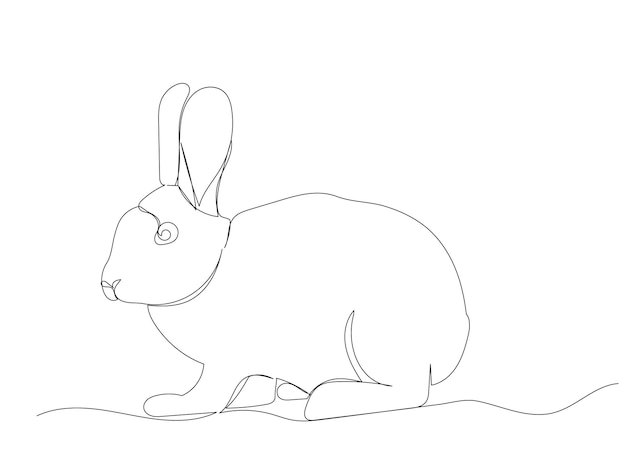 Lapin Lièvre Un Dessin Au Trait Vecteur Isolé