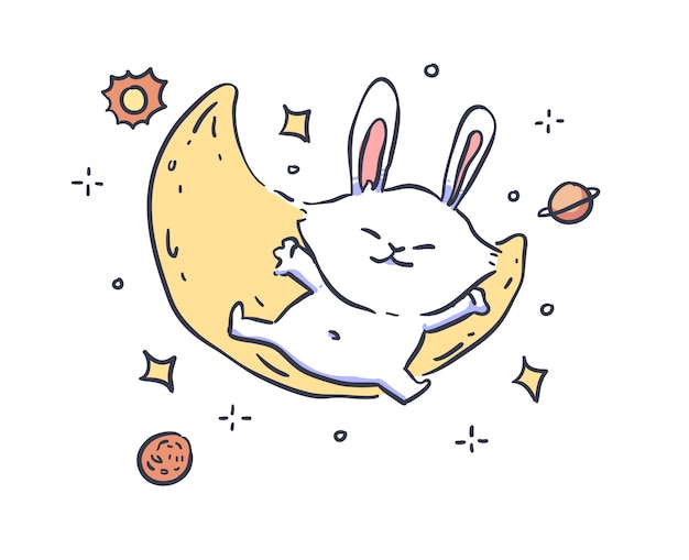 Lapin avec lune sur fond blanc