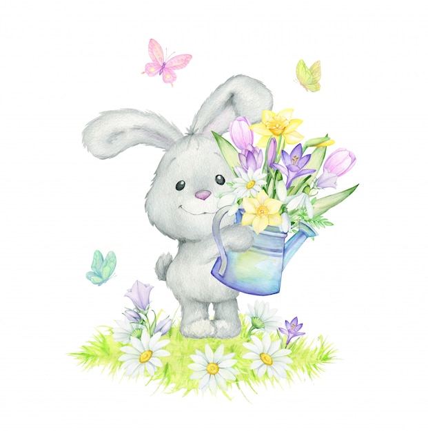 Lapin, Marguerites, Papillons, Perce-neige, Muguets, Crocus, Feuilles, Herbe, Arrosoir. Illustration De Printemps Aquarelle