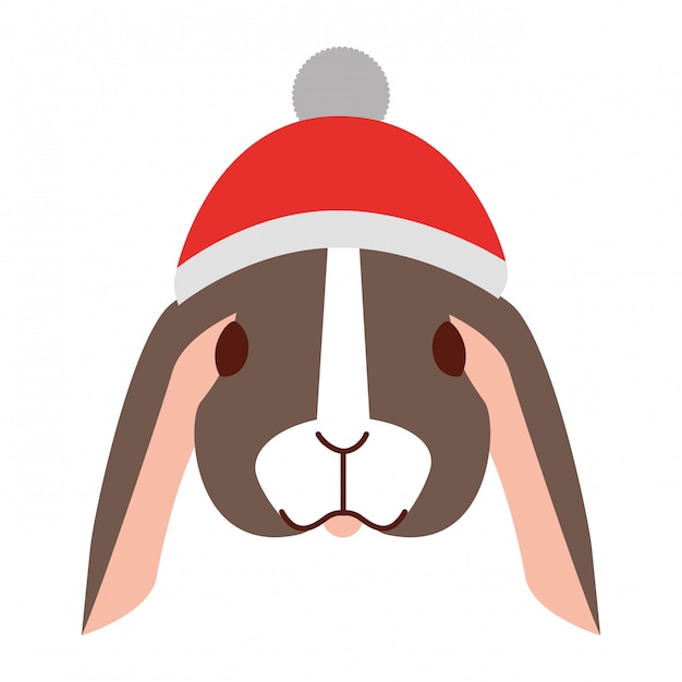 Lapin Mignon Avec Chapeau Chaud Noël