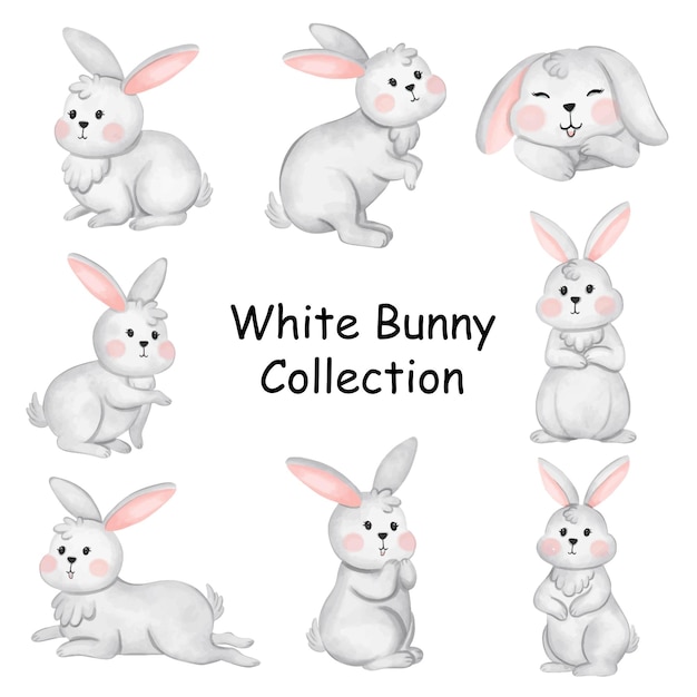 Vecteur les lapins blancs dans diverses poses collection d'aquarelle