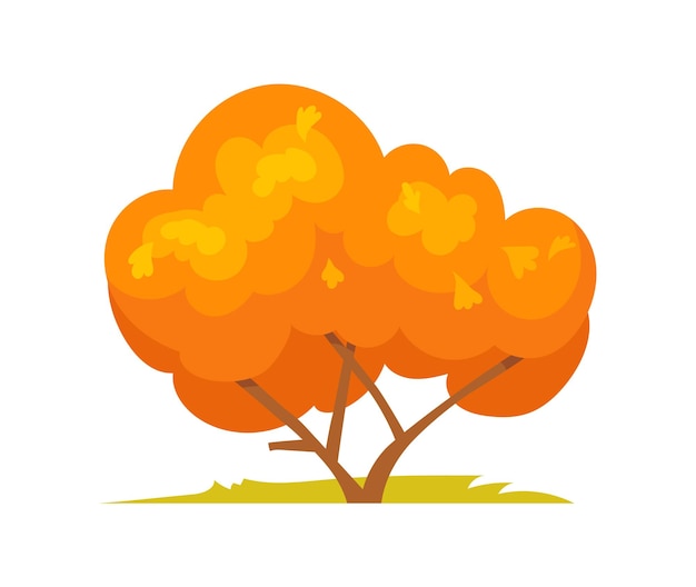 Large arbre d'automne Orange beau feuillage sur la conception de vecteur de branche isolé sur fond blanc