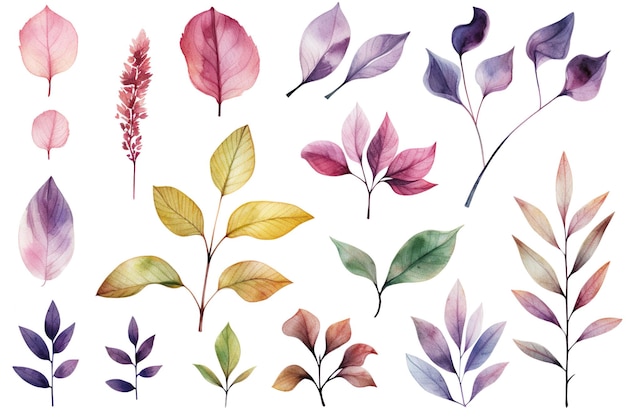 Élégant, aquarelle, feuilles, et, fleurs Clipart