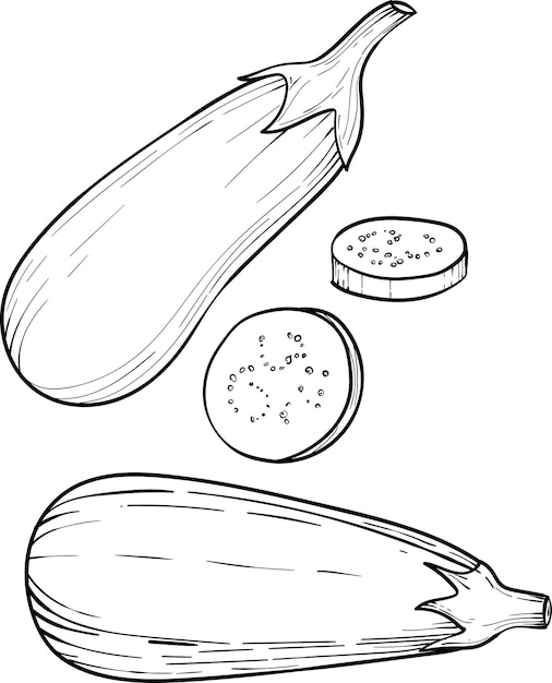 Vecteur légume aubergine aubergine mûre vectorielle isolée sur fond blanc