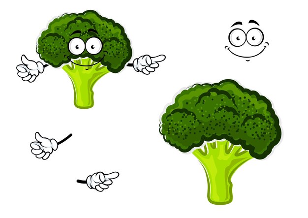 Vecteur légume de brocoli de dessin animé avec la tête verte