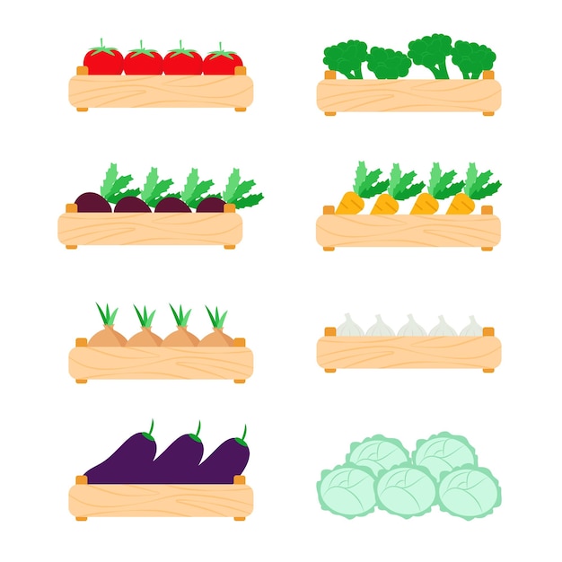 Vecteur légumes alimentaires biologiques dans des boîtes en bois mis éco-alimentaire sain chou oignon ail tomate betterave carotte