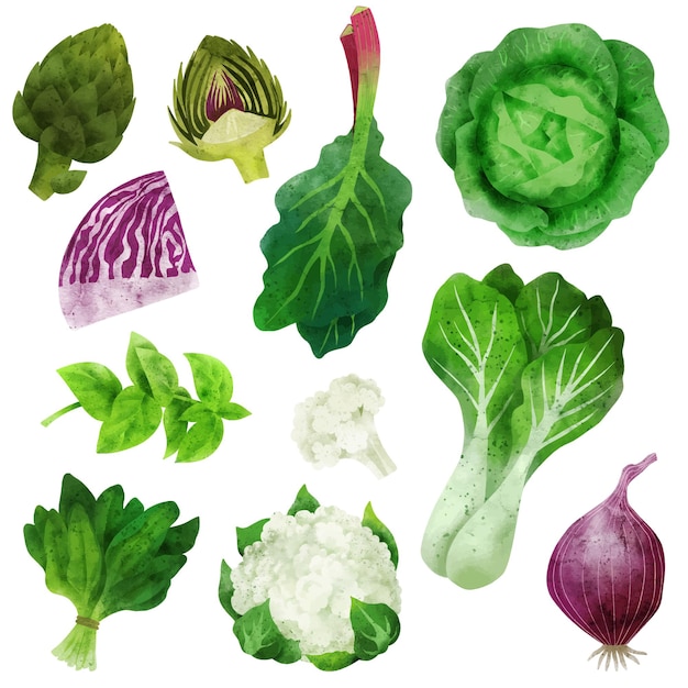 Légumes aquarelles avec chou-fleur aux artichauts et pak choi