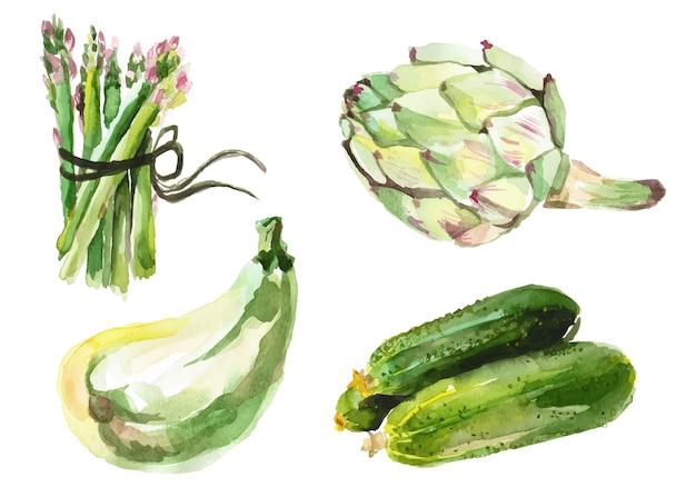 Légumes aquarelles isolés sur blanc