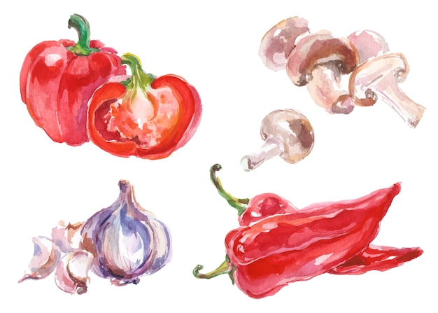 Légumes Aquarelles Isolés Sur Blanc