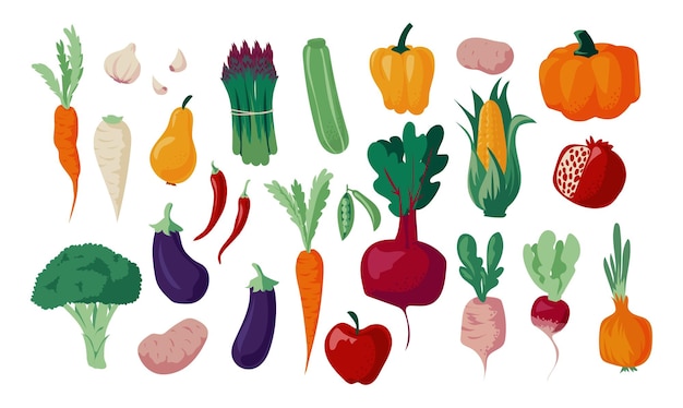 Légumes D'automne Doodle Aliments Biologiques Nature Récolte D'automne Avec Des Plantes De Dessin Animé Croquis à Main Levée De La Collection De Repas Végétariens Pommes Et Aubergines épi De Maïs Ou De Carottes Ensemble De Cultures Vectorielles