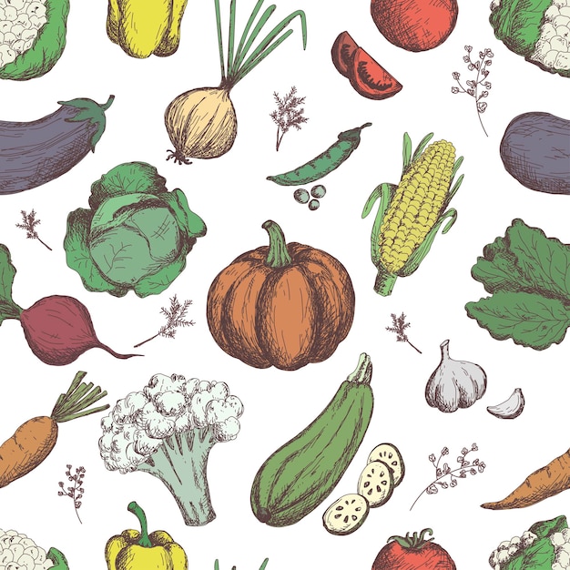 Légumes de dessin à main levée Modèle sans couture de légumes
