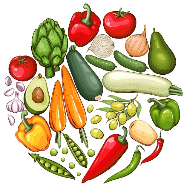 Vecteur légumes frais illustration mélange de légumes