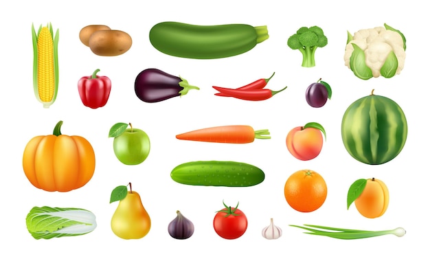 Légumes fruits réalistes. Clipart de grande récolte, éléments alimentaires isolés du marché de la ferme fraîche. Illustration vectorielle de citrouille pomme poivre chou. Fruits et légumes de collection, nourriture végétarienne