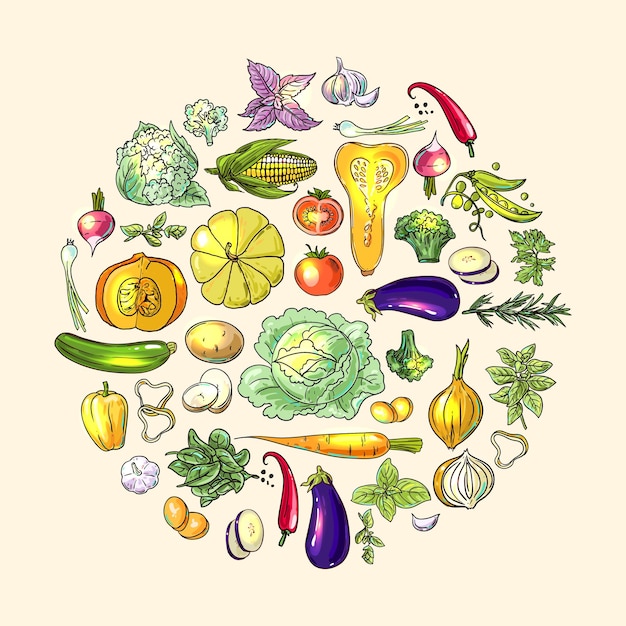 Légumes D'illustration Dessinés à La Main