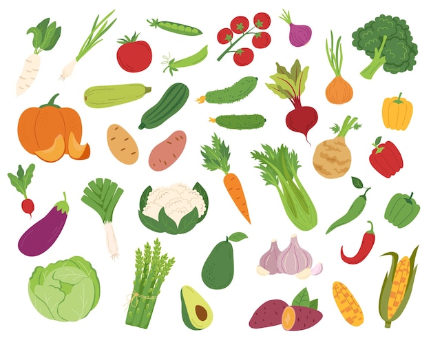 Les légumes mis en place1