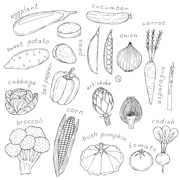 Légumes mis vector illustration dessin à la main