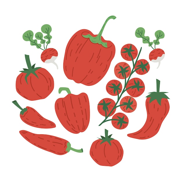 Légumes Rouges Dessinés à La Main, Poivron Et Radis, Illustration Vectorielle De Dessin Animé