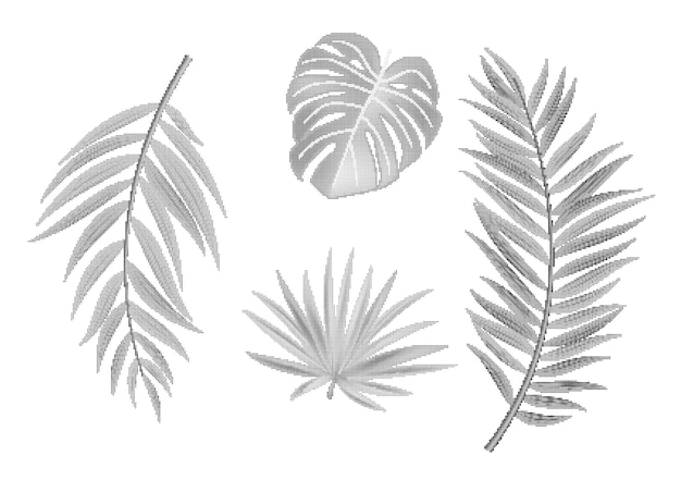 Élément audacieux en pointillé de feuilles de palmier demi-teintes naturelles
