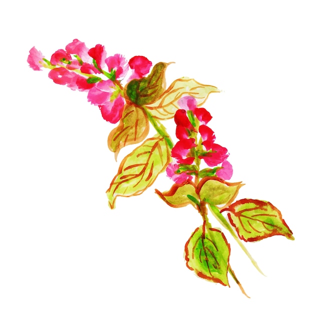 Élément floral aquarelle