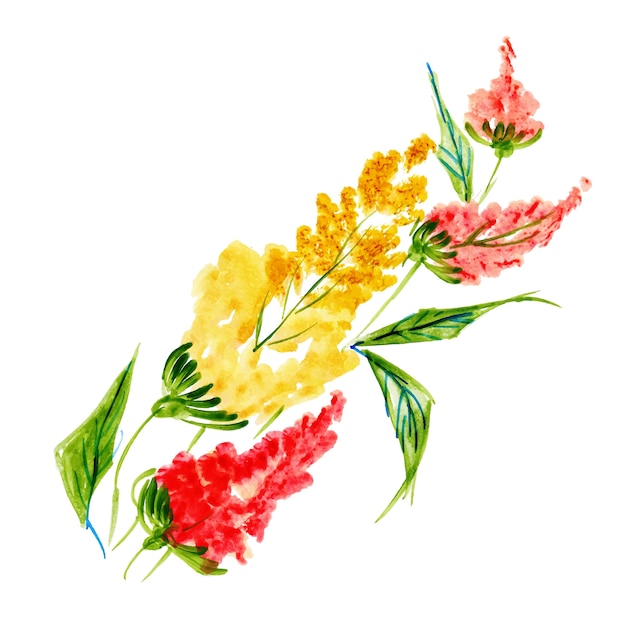 Élément floral aquarelle