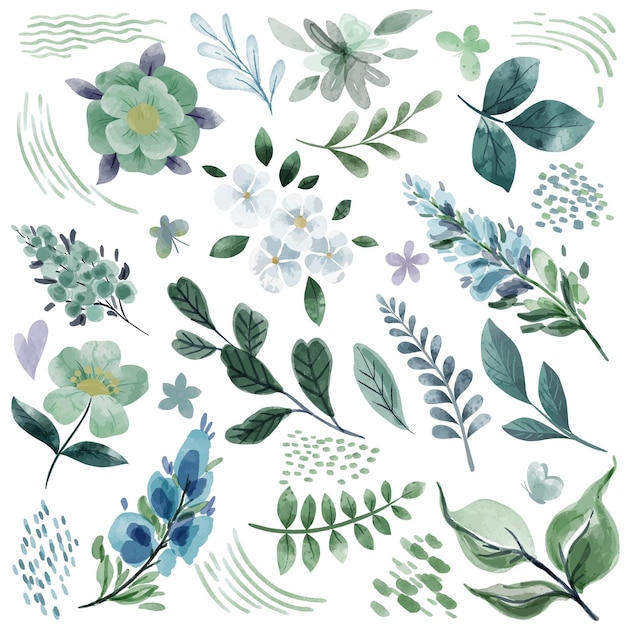 Éléments d'aquarelle dessinés à la main de fleurs botaniques vertes fraîches