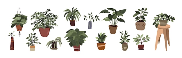 Éléments de décor de plantes en pot d'intérieur mis autocollant pouce vert pour bullet journal
