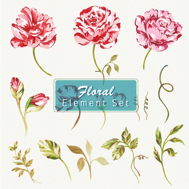 Éléments floraux aquarelles