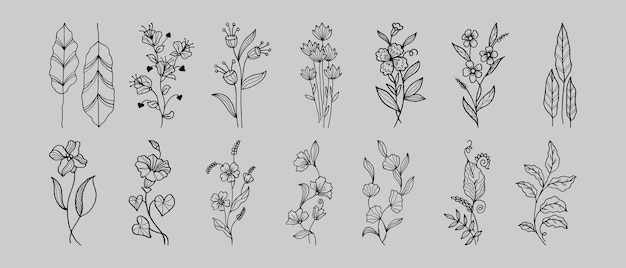 Éléments floraux de conception vectorielle dessinés à la main Illustration vectorielle