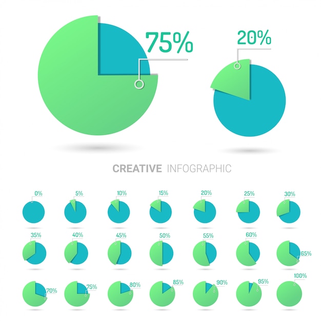 Éléments infographiques Cercle graphique avec indication des pourcentages.